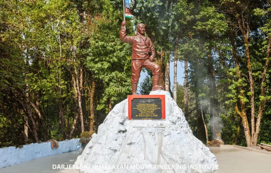 DAZZLING DARJEELING