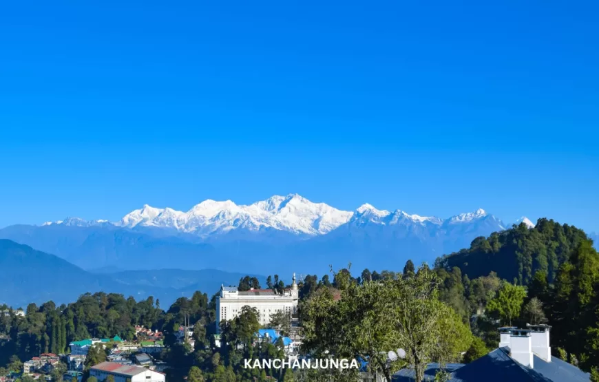 DAZZLING DARJEELING