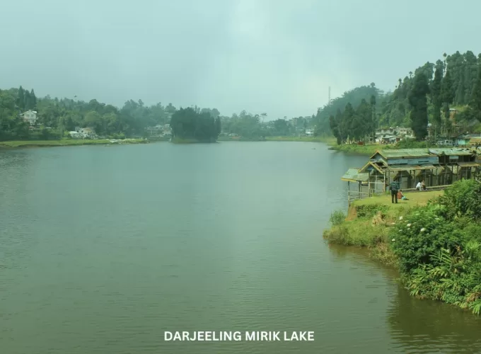 DAZZLING DARJEELING