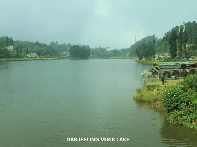 DAZZLING DARJEELING