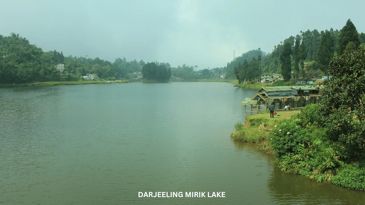 DAY 02: MIRIK EXCURSION