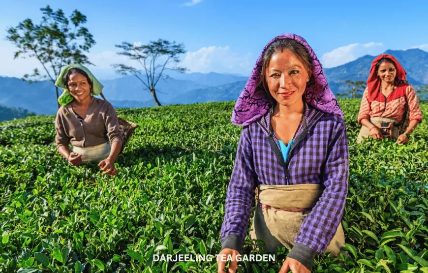 MYSTICAL SIKKIM & DARJEELING