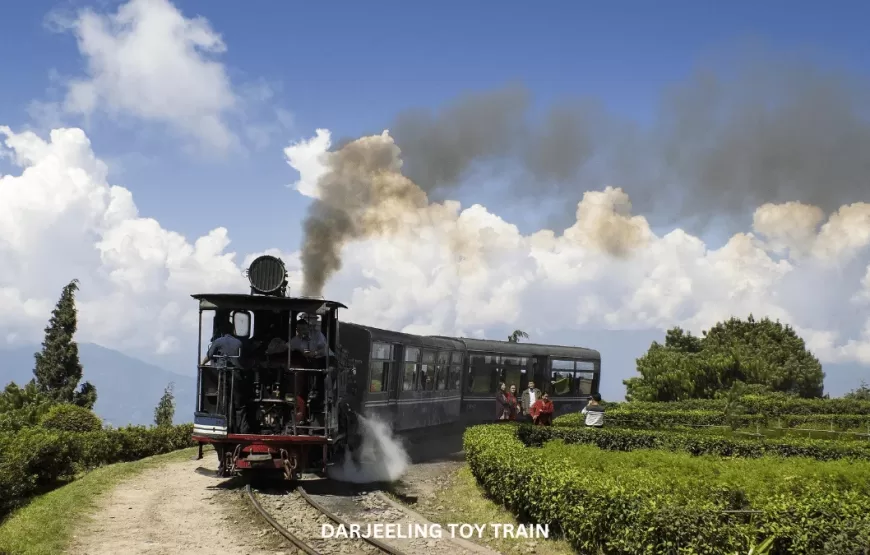 DAZZLING DARJEELING