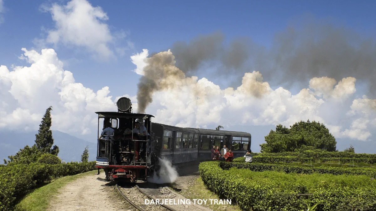 DAY 03: DARJEELING LOCAL SIGHTSEEING (10POINTS)