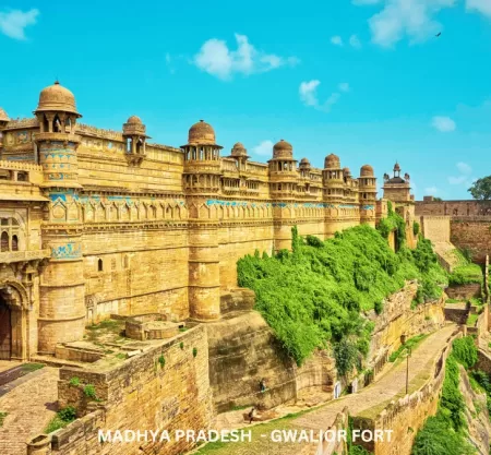 Heritage Tour of Madhya Pradesh-TMP003