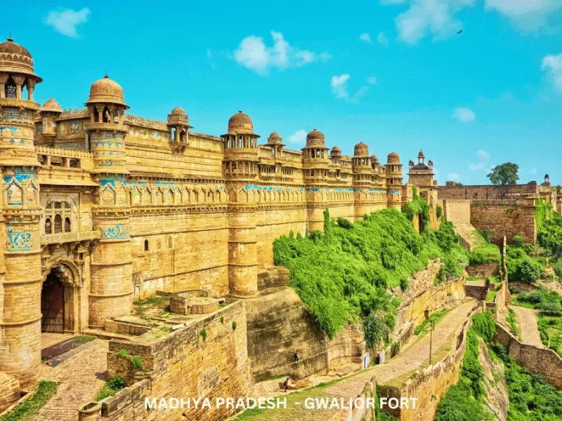 Heritage Tour of Madhya Pradesh-TMP003