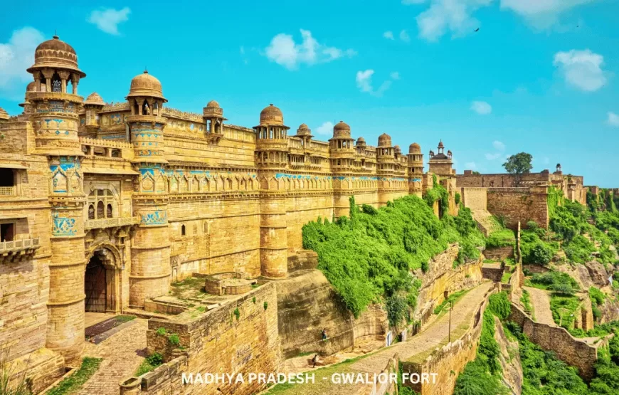 Heritage Tour of Madhya Pradesh-TMP003