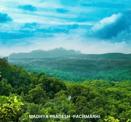 Exotic Pachmarhi Tour -TMP001