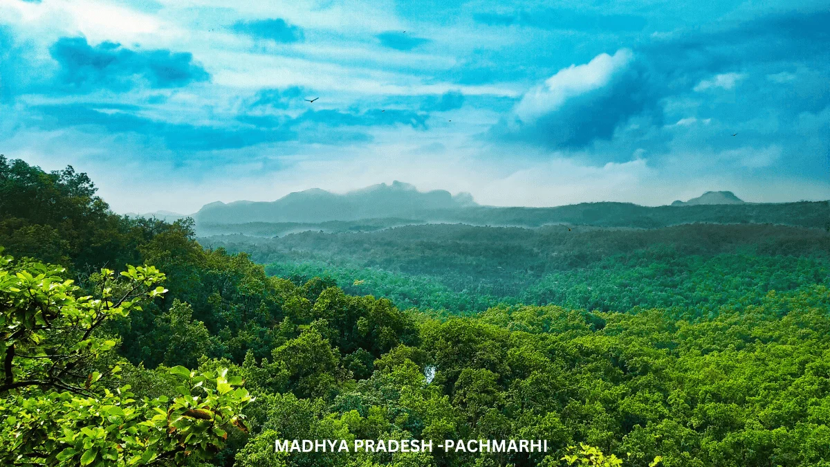 Day 03: PACHMARHI (Forest Point by GYPSY)