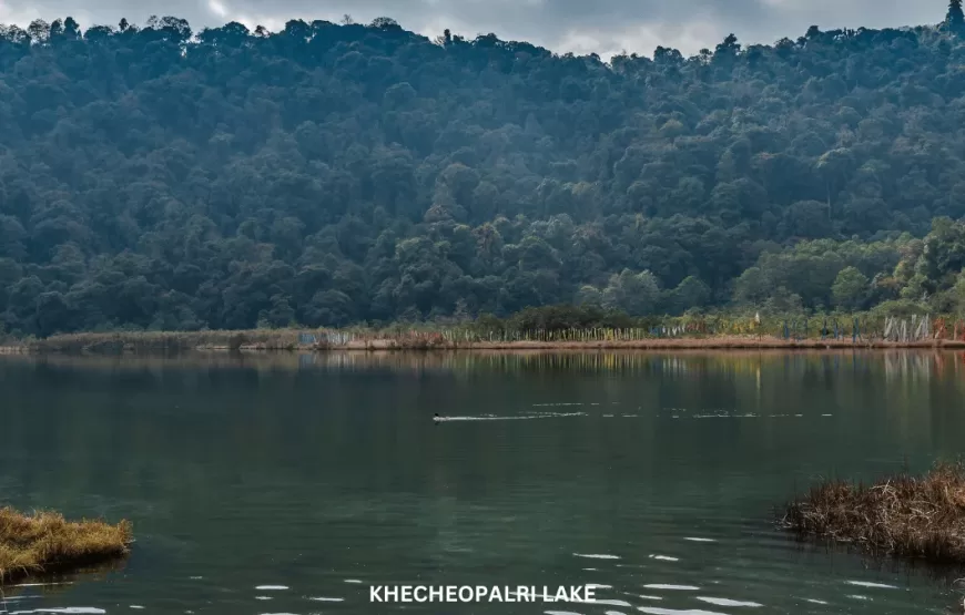 MESMARIZING SIKKIM DARJEELING