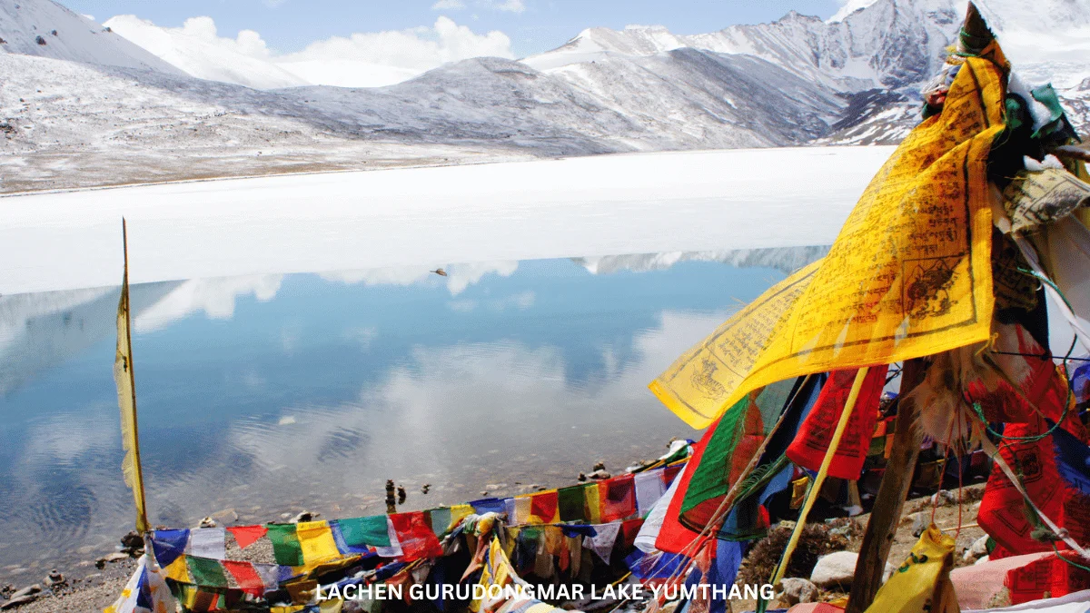 DAY 04: LACHUNG - YUMTHANG VALLEY EXCURSION - GANGTOK (116 KMS / 6 HRS)