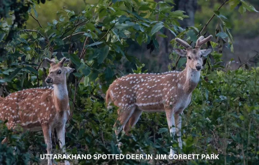 Breathtaking Uttarakhand