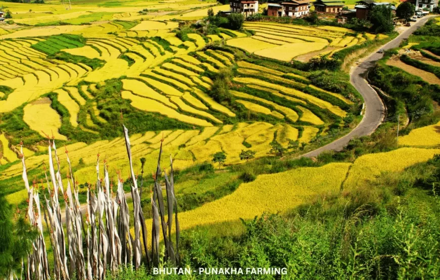 Bhutan Serenity Sojourn-TBH009