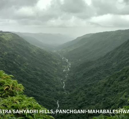 Breathtaking Maharashtra 003