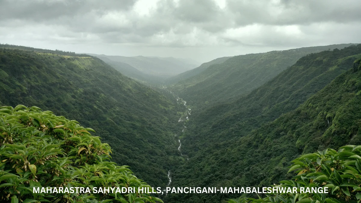 Day 4: Mahabaleshwar to Mumbai