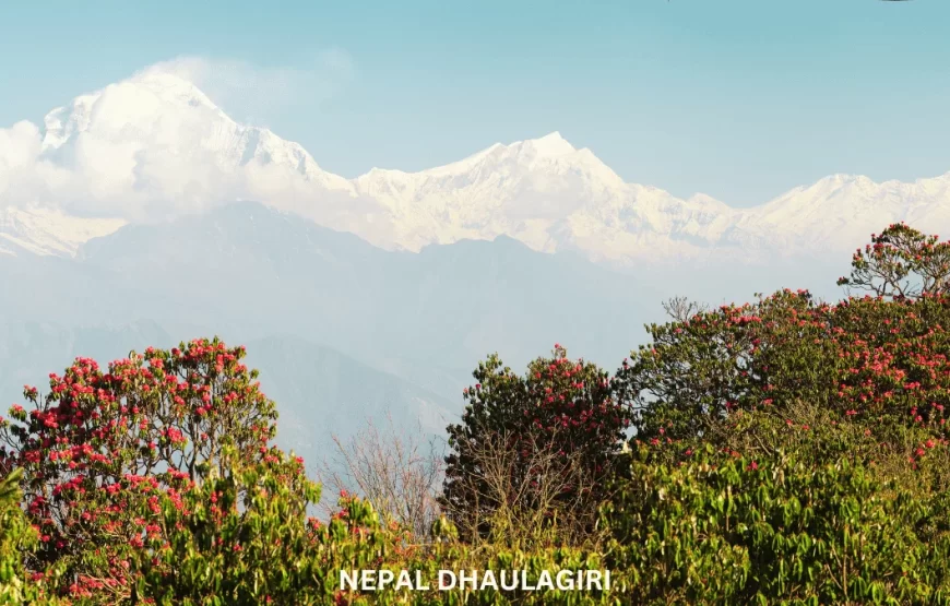 A Tour to Nepal