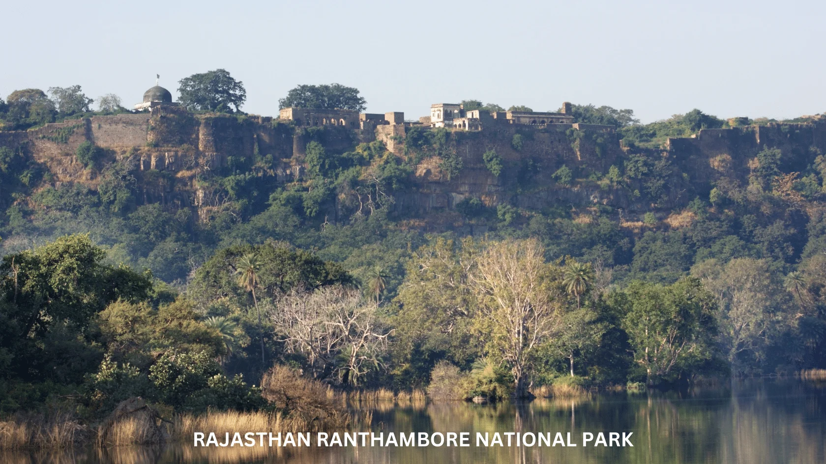 Day 03: Jaipur – Ranthambore National Park (155 Km / 3 hrs)